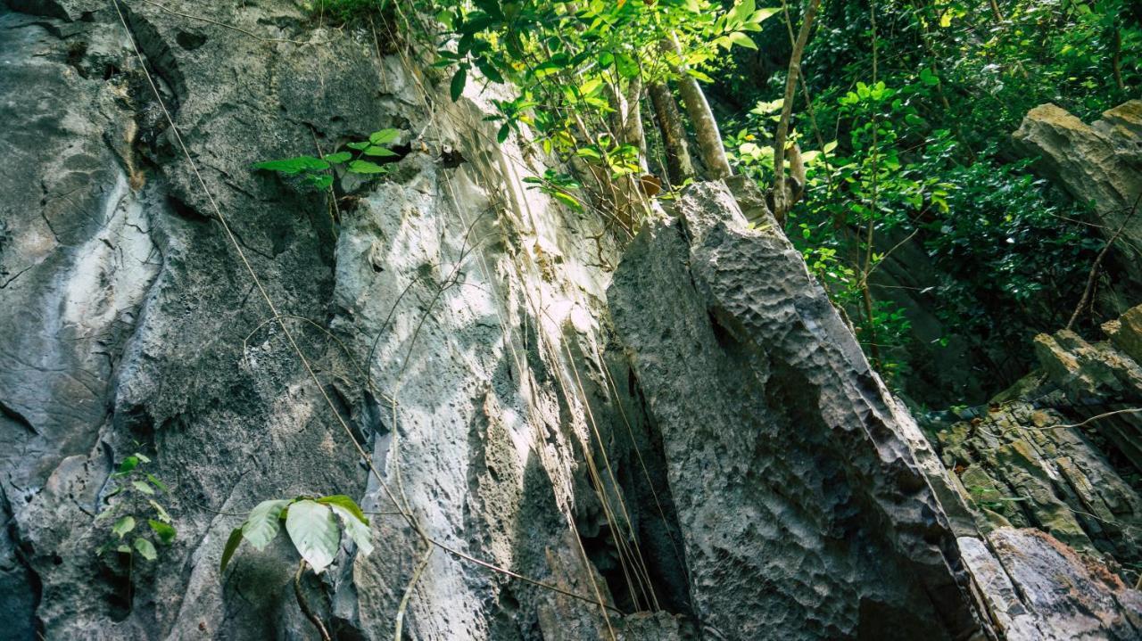 Ced Pension El Nido Exterior photo